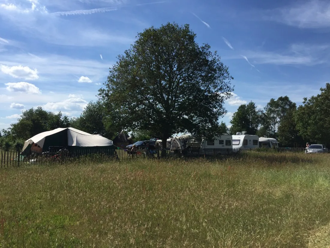 bij-roozen-op-leijland-minicamping-vorstenbosch-g9vi3