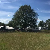 bij-roozen-op-leijland-minicamping-vorstenbosch-g9vi3