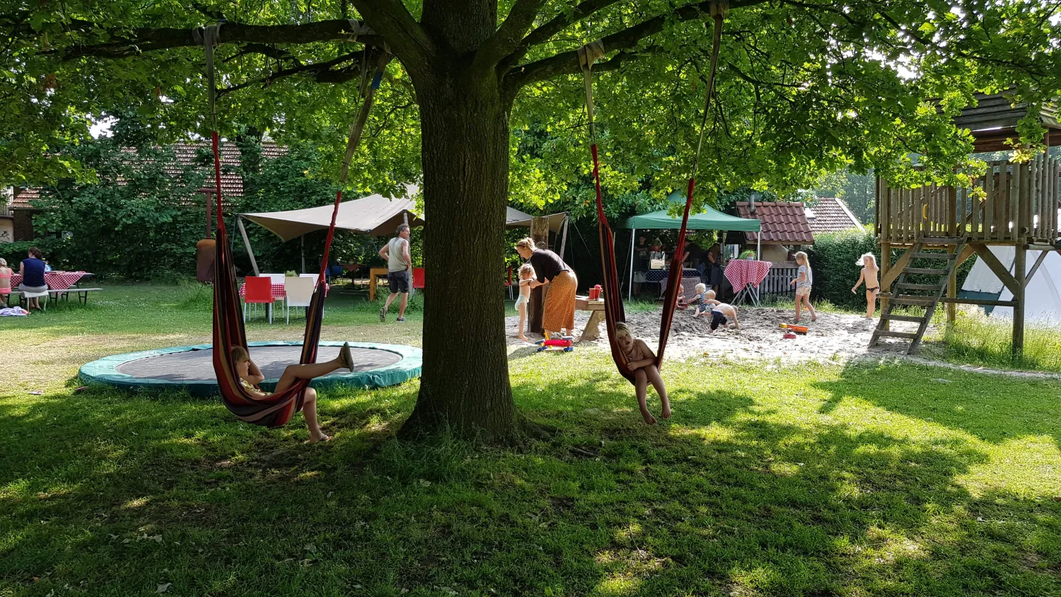 bij-roozen-op-leijland-minicamping-vorstenbosch-l8pko