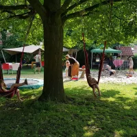 bij-roozen-op-leijland-minicamping-vorstenbosch-l8pko