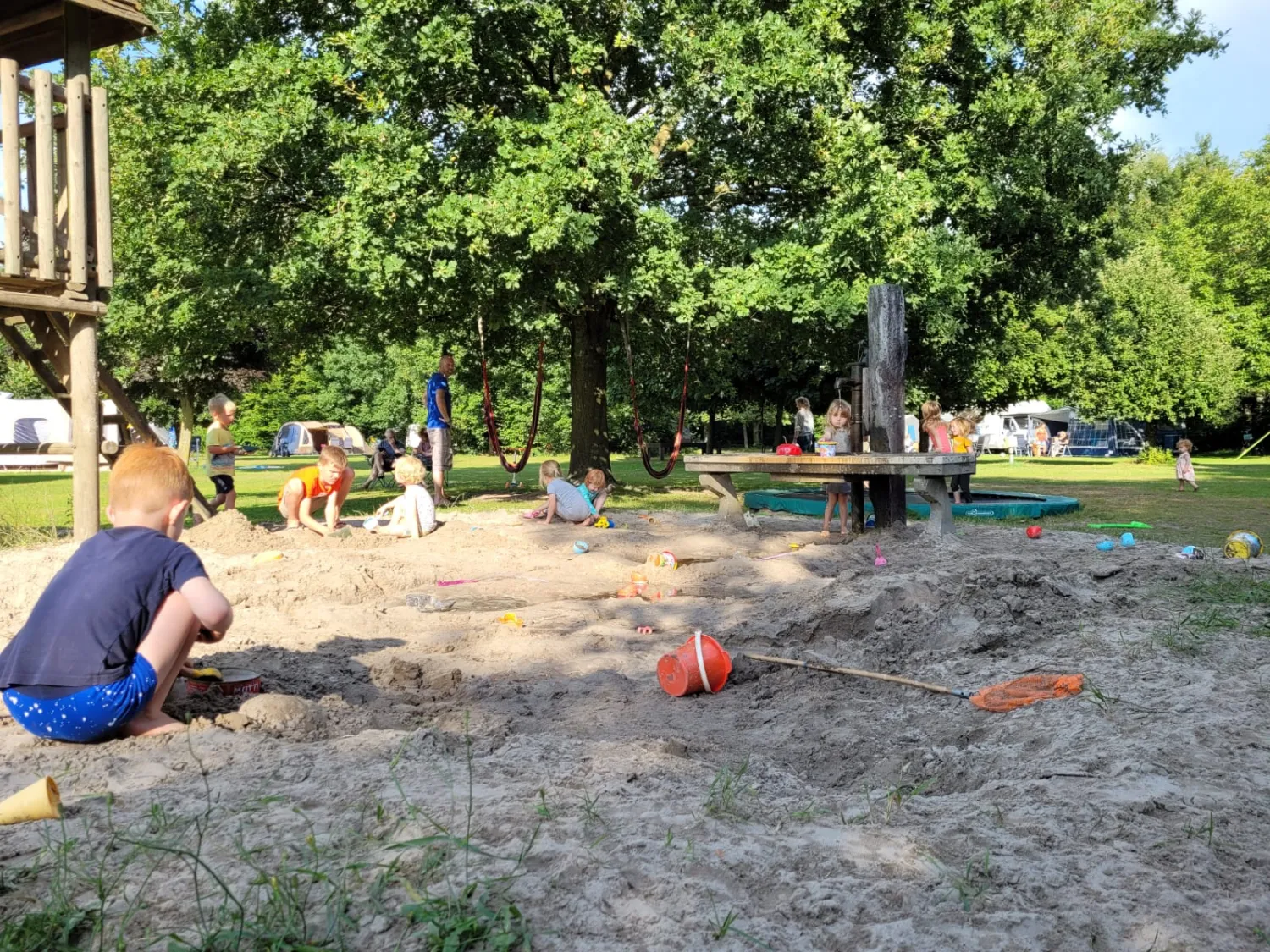 bij-roozen-op-leijland-minicamping-vorstenbosch-mnxfa