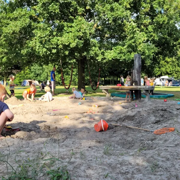 bij-roozen-op-leijland-minicamping-vorstenbosch-mnxfa