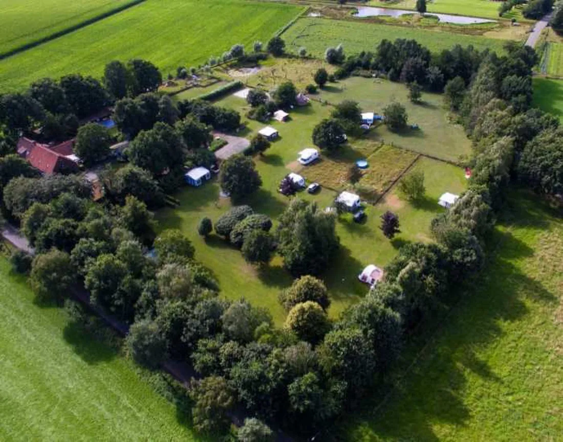 bij-roozen-op-leijland-minicamping-vorstenbosch-p0ccp