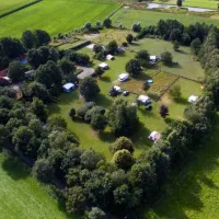 bij-roozen-op-leijland-minicamping-vorstenbosch-p0ccp