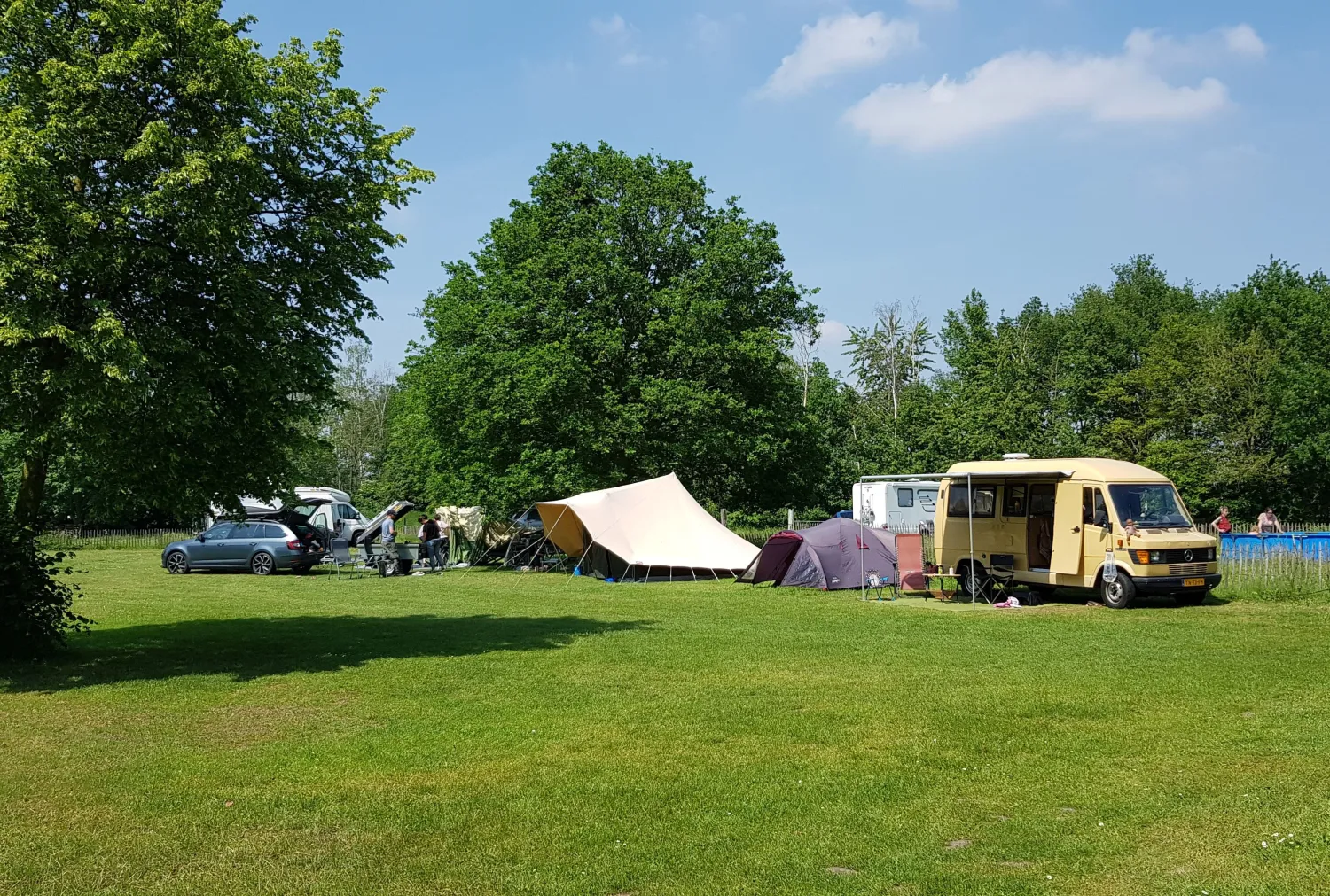 bij-roozen-op-leijland-minicamping-vorstenbosch-y59ku