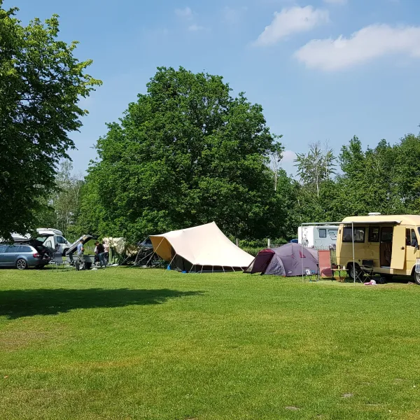 bij-roozen-op-leijland-minicamping-vorstenbosch-y59ku