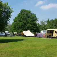bij-roozen-op-leijland-minicamping-vorstenbosch-y59ku