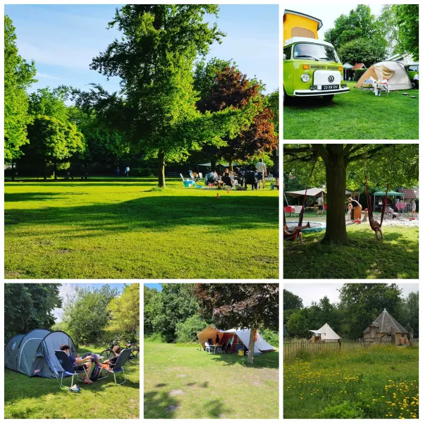 bij-roozen-op-leijland-minicamping-vorstenbosch-zzkhw