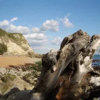 bank-end-farm-ventnor-d2cpw