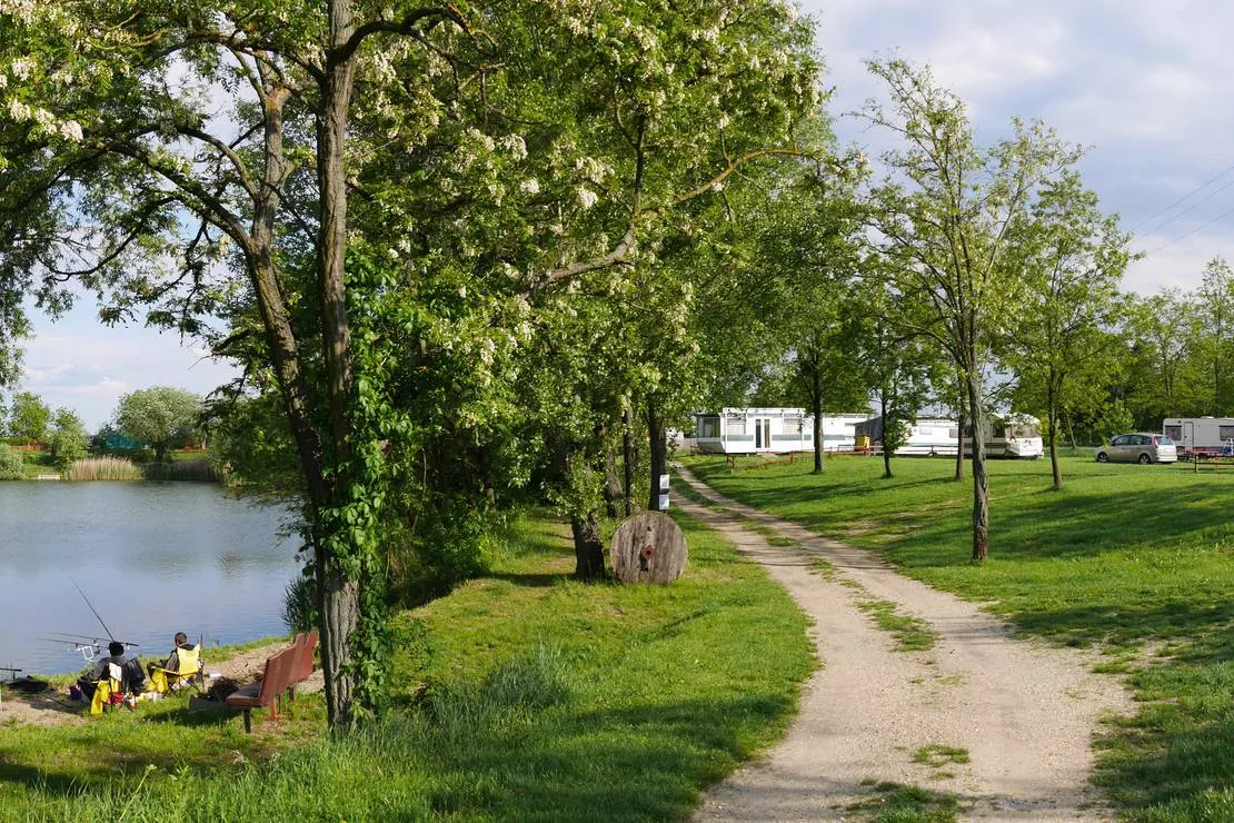 camping-eldorado-beled-kft-beled-jjoqn