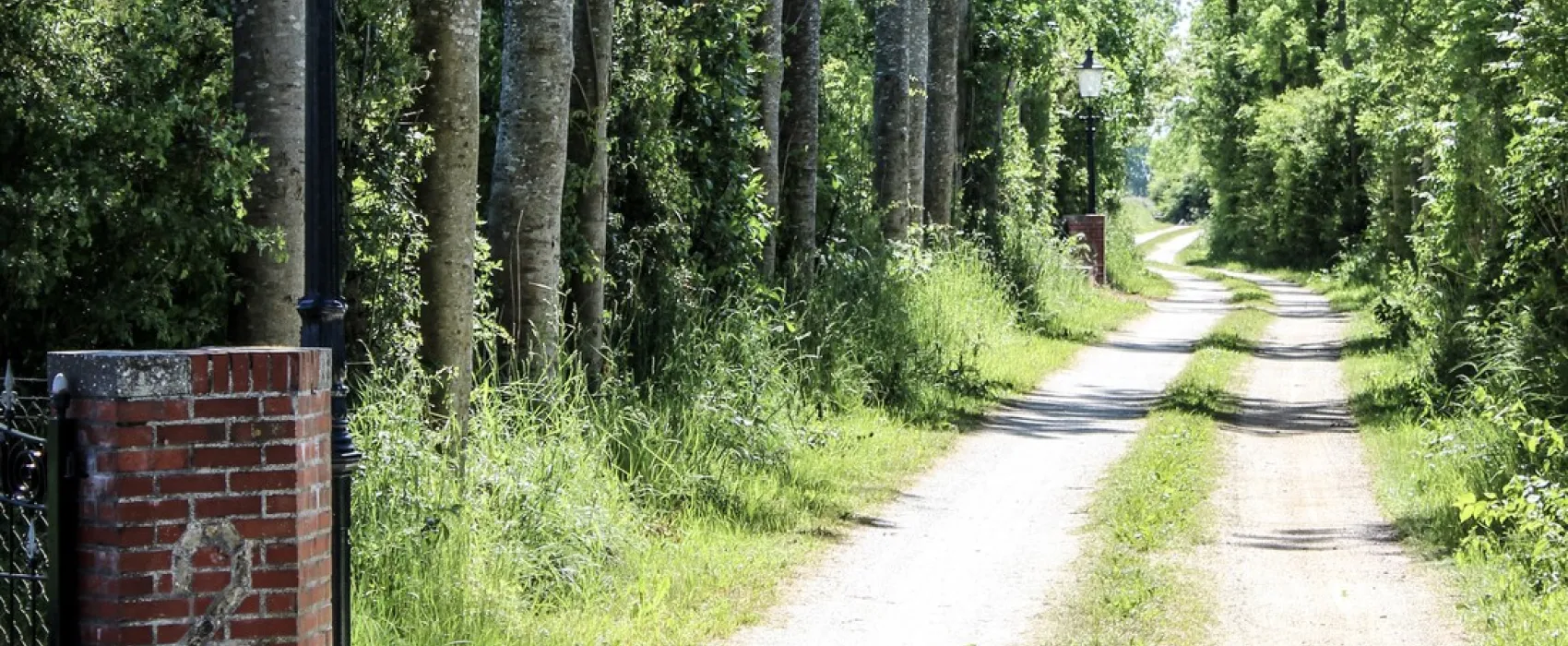 Camping de Rousant