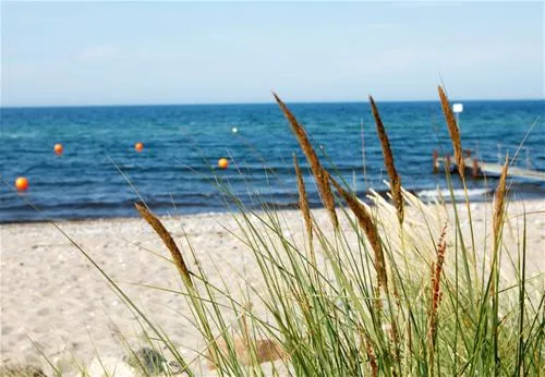 campingpark-ostseestrand-hohenfelde-8xoaw