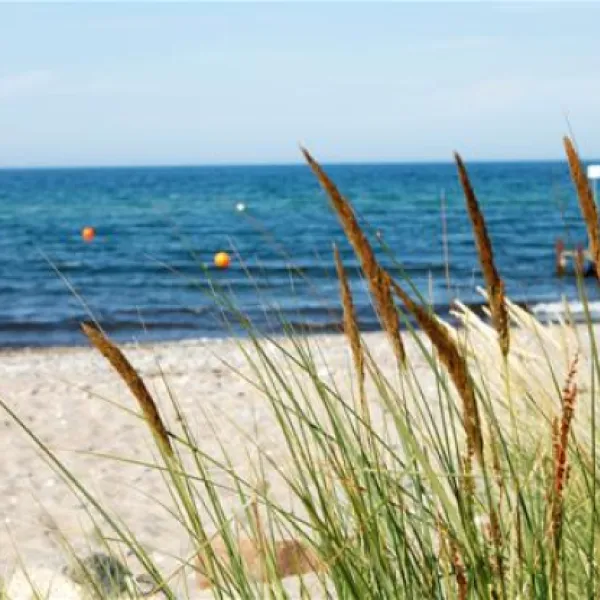 campingpark-ostseestrand-hohenfelde-8xoaw