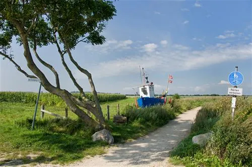 campingpark-ostseestrand-hohenfelde-wm8hj
