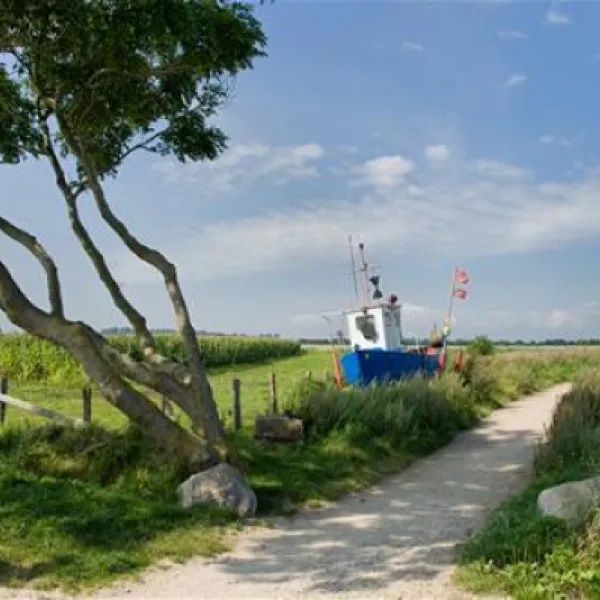 campingpark-ostseestrand-hohenfelde-wm8hj
