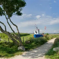 campingpark-ostseestrand-hohenfelde-wm8hj