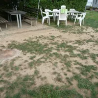 campingplatz-waldsee-riol-vxjvy