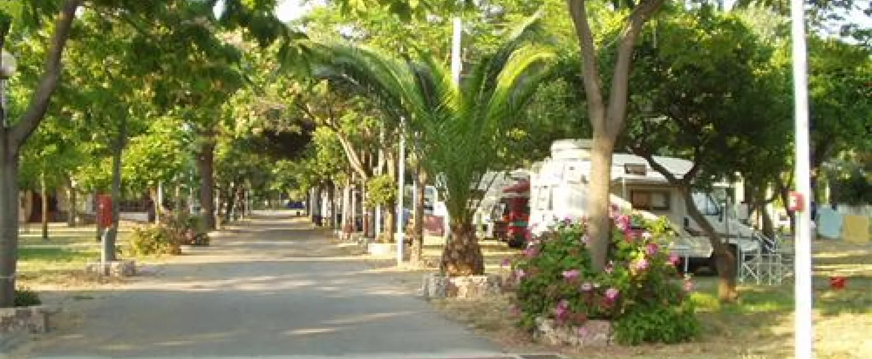 Campeggio Almoetia