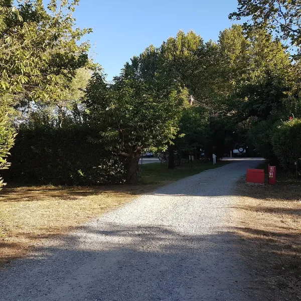 camping-les-cerisiers-ceret-igjm4