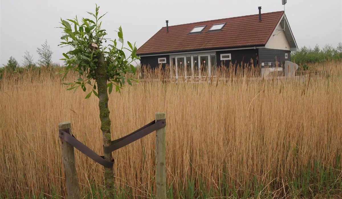 hoeve-batenburg-ellemeet-voqd0