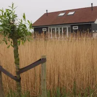 hoeve-batenburg-ellemeet-voqd0