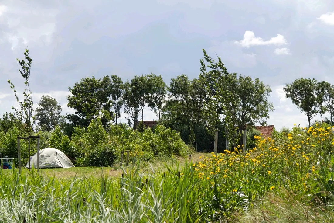 hoeve-batenburg-ellemeet-yi6jc