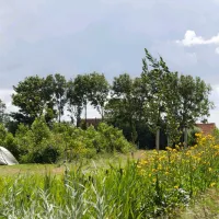 hoeve-batenburg-ellemeet-yi6jc