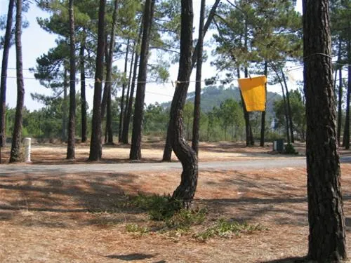 parque-de-campismo-e-caravanismo-de-so-miguel-odemira-zaxiv