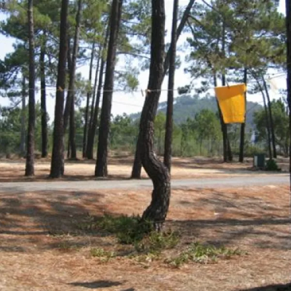 parque-de-campismo-e-caravanismo-de-so-miguel-odemira-zaxiv