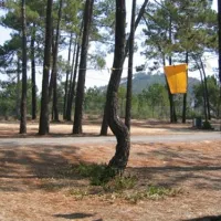 parque-de-campismo-e-caravanismo-de-so-miguel-odemira-zaxiv