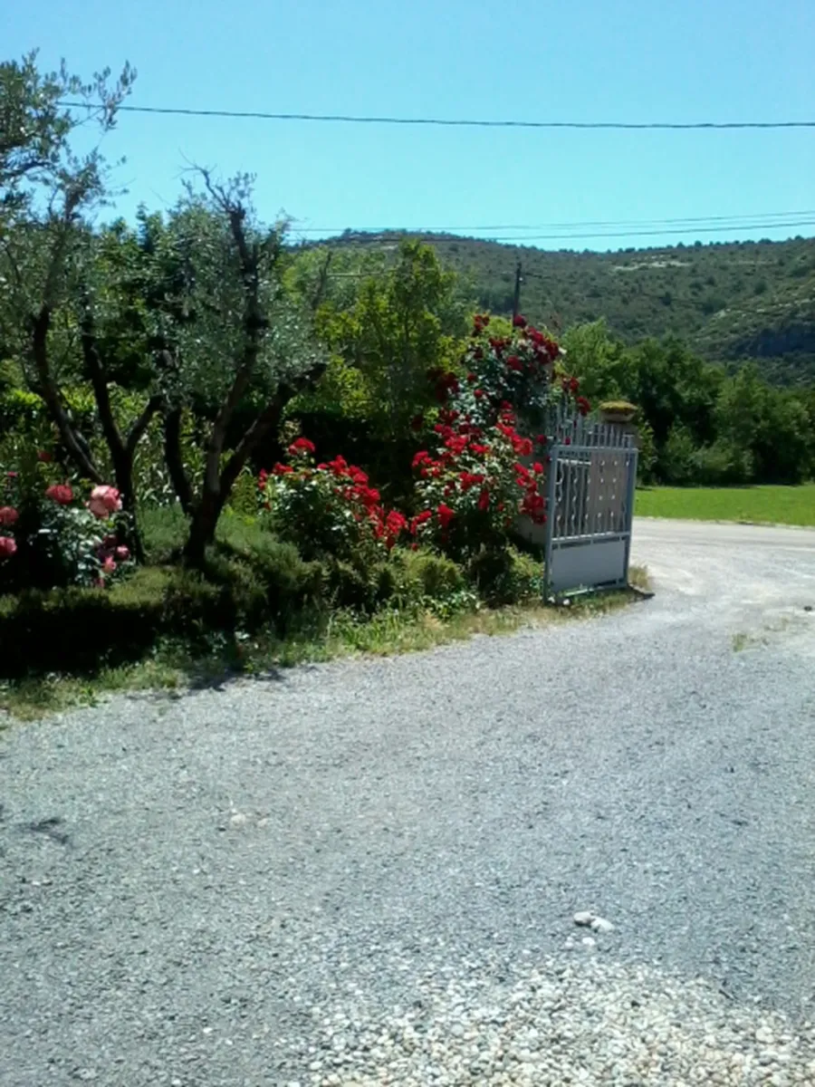 camping-les-oliviers-ardche-b5srm