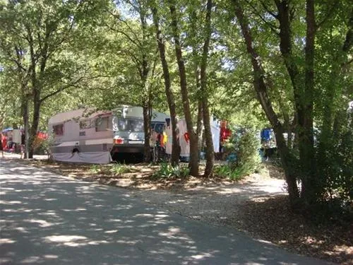 camping-bijela-uvala-porec-adpvn
