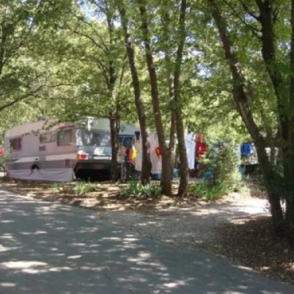 camping-bijela-uvala-porec-adpvn