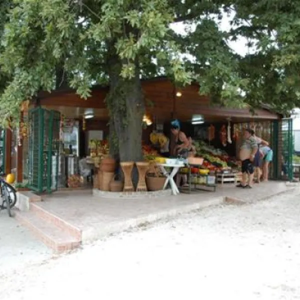 camping-bijela-uvala-porec-pfi5g