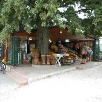 camping-bijela-uvala-porec-pfi5g