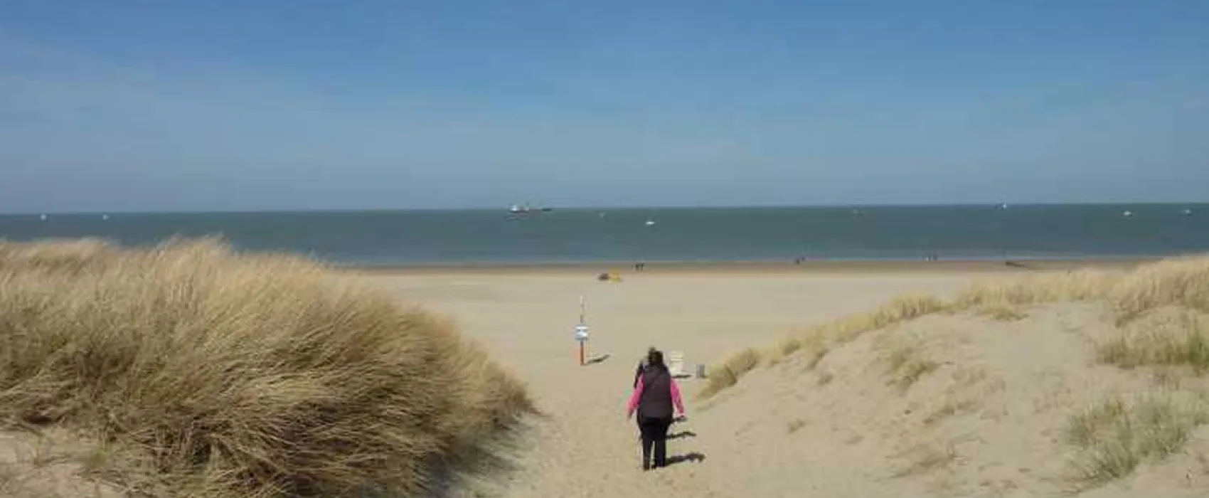 Camping Vogelenzang