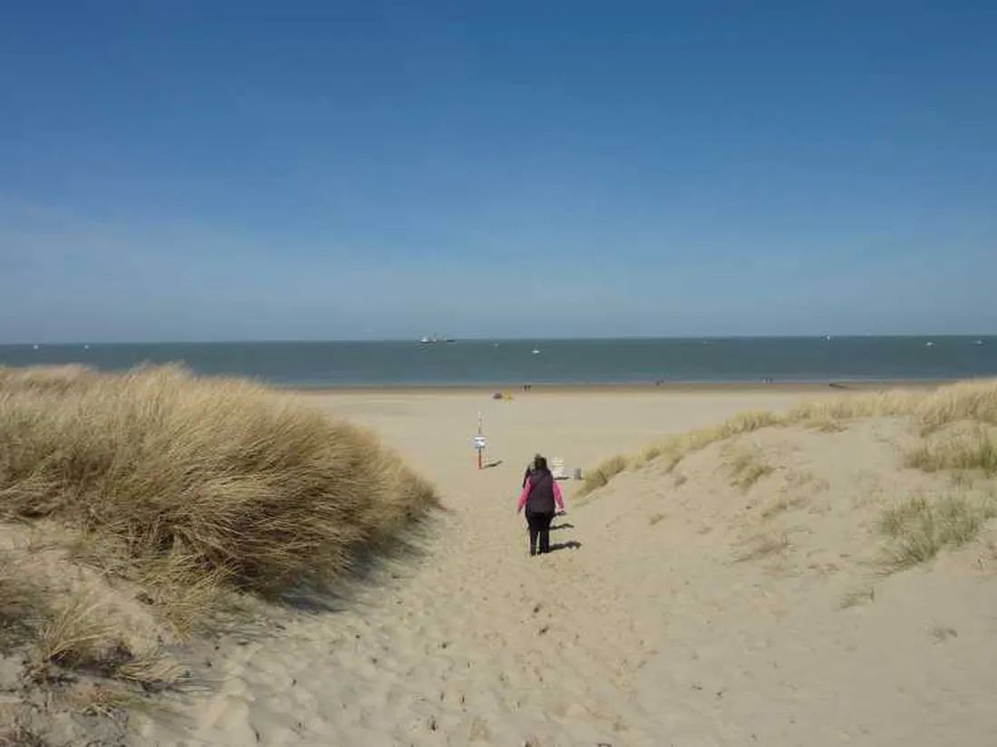 camping-vogelenzang-nieuwvliet-h6l22