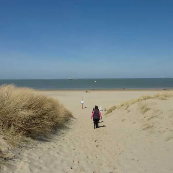 camping-vogelenzang-nieuwvliet-h6l22