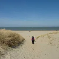 camping-vogelenzang-nieuwvliet-h6l22