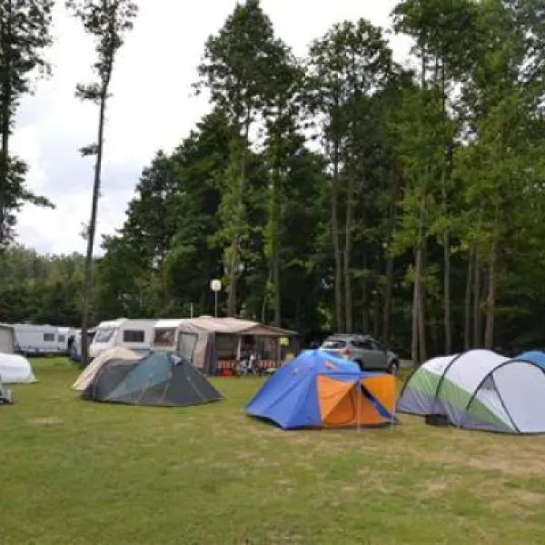camping-echo-rydzewo-powiat-giycko-gizycko-gmina-miki-mosaj