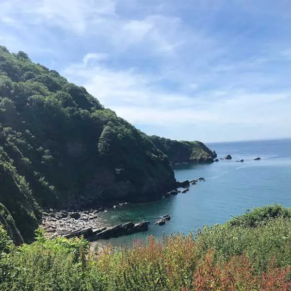 camping-sunny-lyn-devon-c3w38