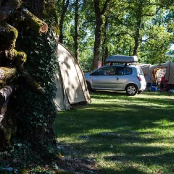 flower-camping-domaine-de-la-faurie-seniergues-sf24t