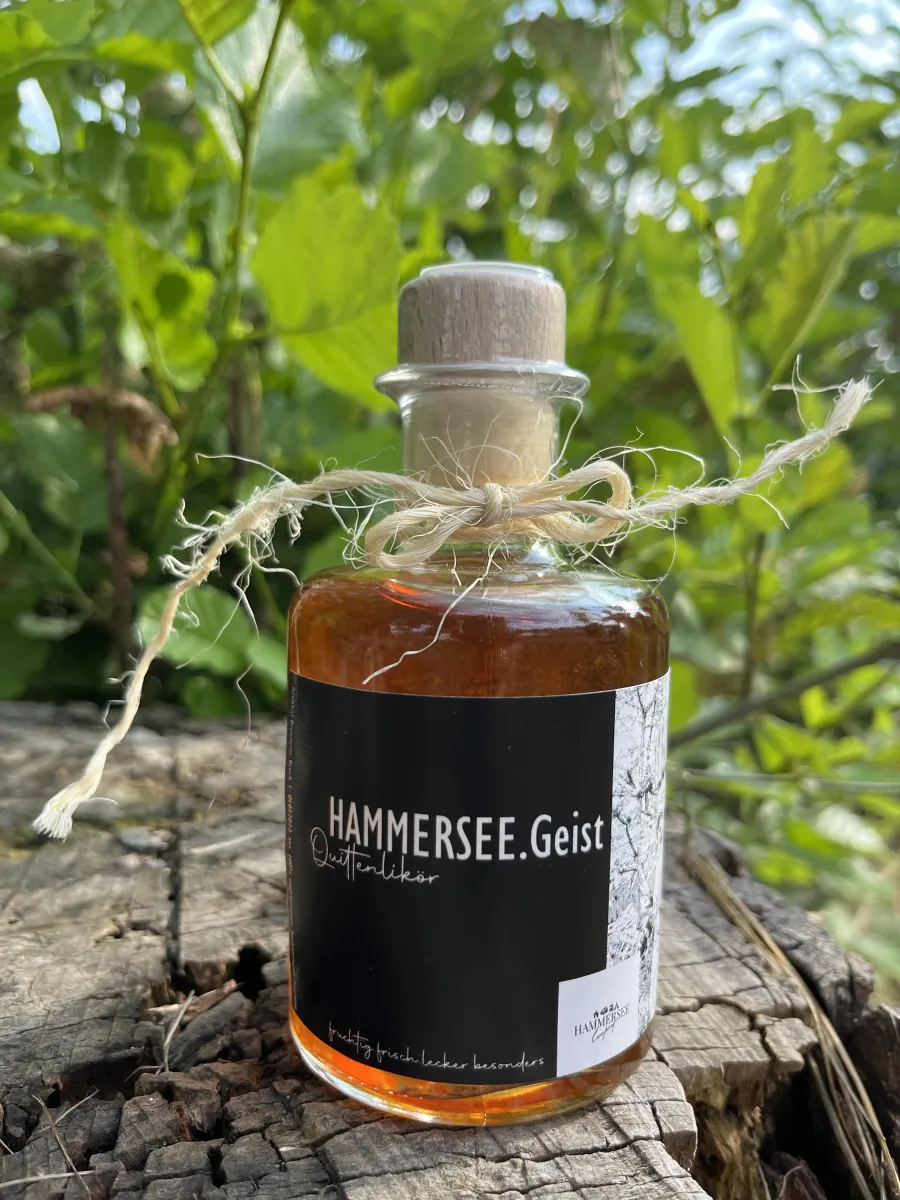 seecamping-blechhammer-bodenwhrblechhammer-oxy4o