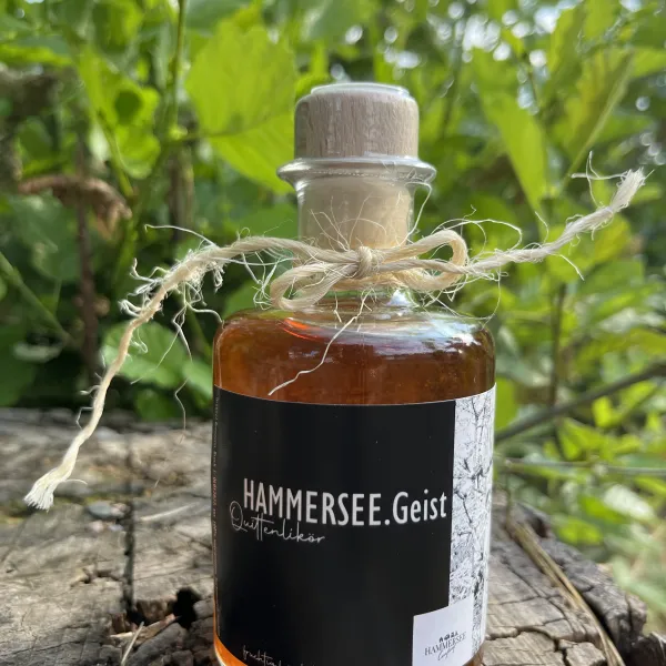 seecamping-blechhammer-bodenwhrblechhammer-oxy4o
