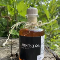 seecamping-blechhammer-bodenwhrblechhammer-oxy4o