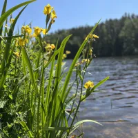 seecamping-blechhammer-bodenwhrblechhammer-t3nux