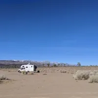 Lee Flat Joshua Tree Forest Backcountry Camping