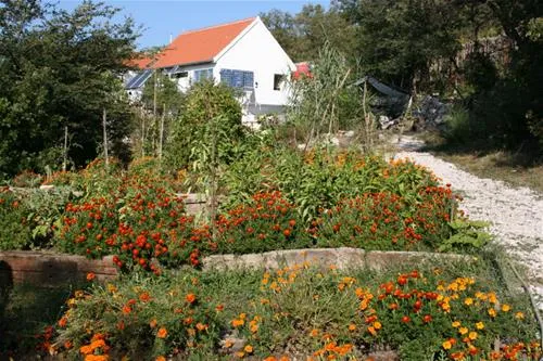 camp-full-monte-herceg-novi-d4say