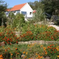 camp-full-monte-herceg-novi-d4say