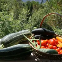 camp-full-monte-herceg-novi-ftsqu